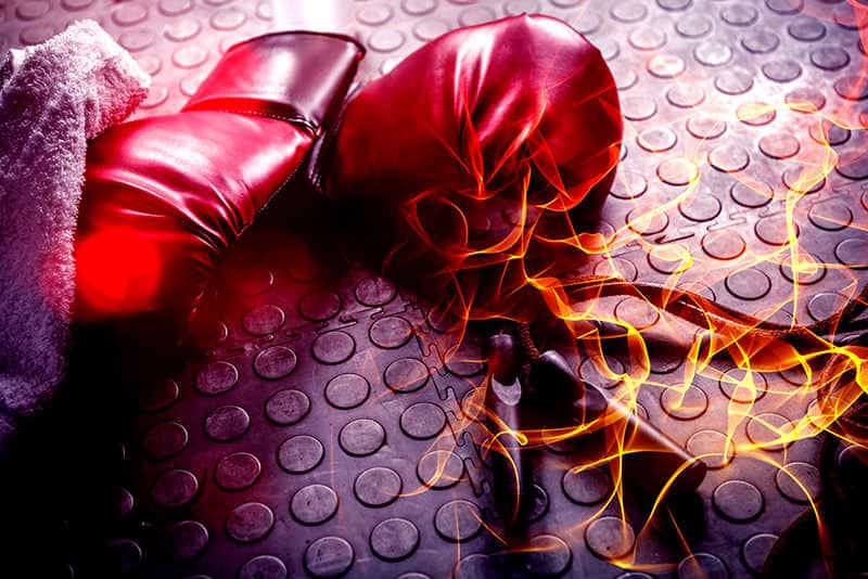 Due schede per lavorare al sacco